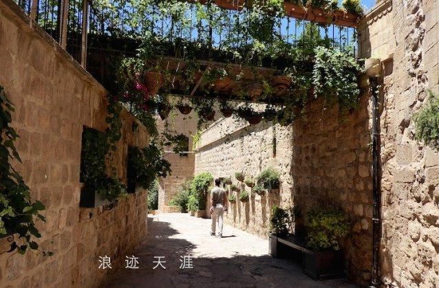 《奔跑展现我价值》安心:坚强独立,证明自我!