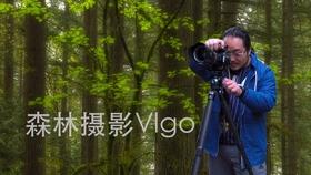 梦幻西游电脑版