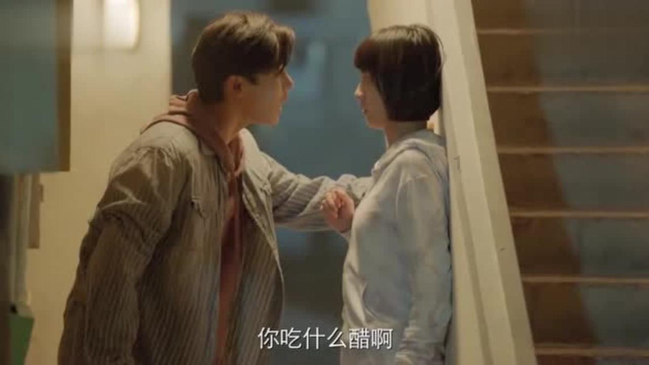 萌宠好又多